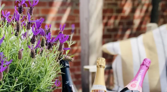 Champagne Rosé or Pink Champagne?